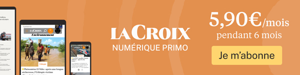  La Croix Numérique Primo 