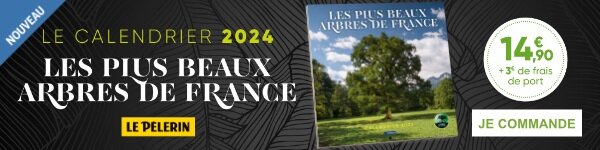 
Calendrier arbre Pelerin
