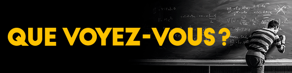  Nous, Aveugles de France, que voyons-nous 